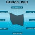 gentoo.jpg